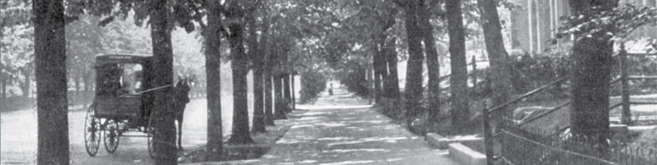 Double rows of linden trees on Mass Ave, 1913