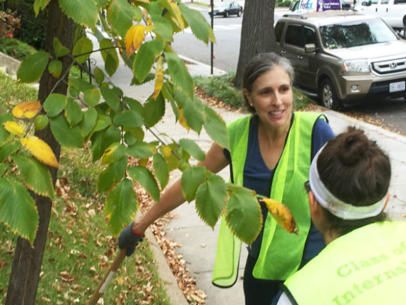 Two women in safety vests work to help a city tree