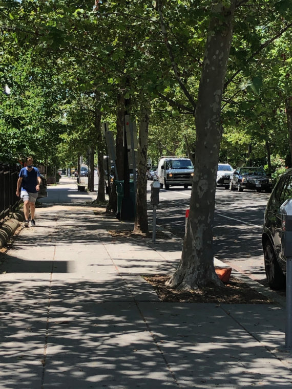 Mature street trees provide shade for pleasant walkway