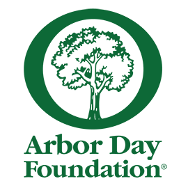Drawing of Tree and the words Arbor Day Foundation