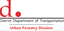 Large lower case letter d and round dot in red with the words District Department of Transportation Urban Forestry Division