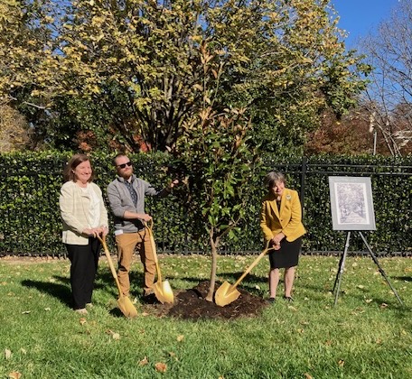 A man and two women stand with golden shovels next to magnolia for ceremonial tree planting at Brazilian embassy