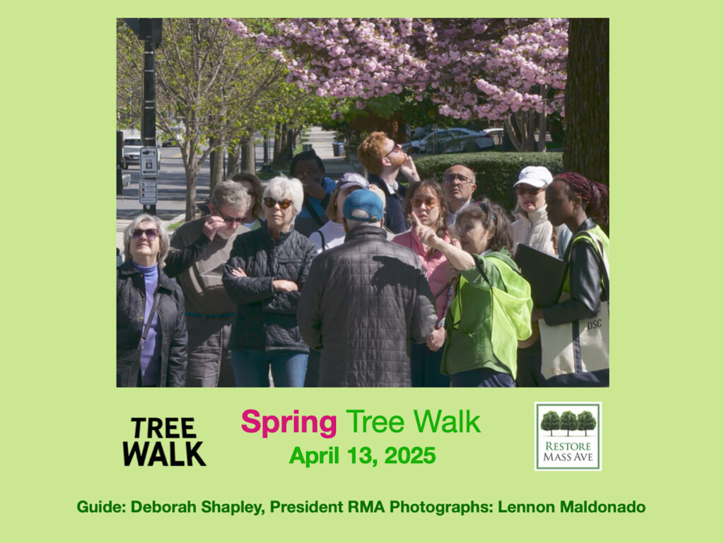 Slide1-tree-walk-2025-spring
