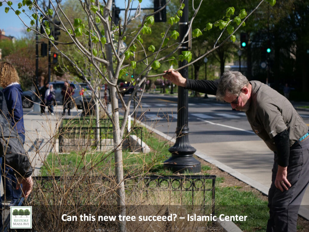 Slide12-tree-walk-2025-spring