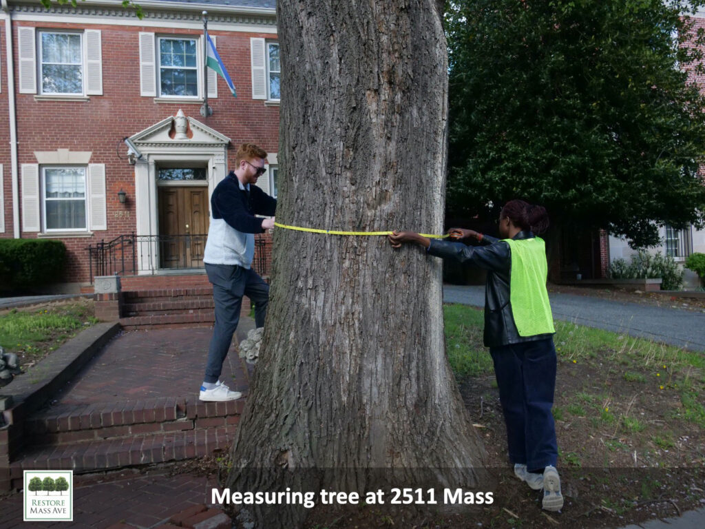 Slide13-tree-walk-2025-spring