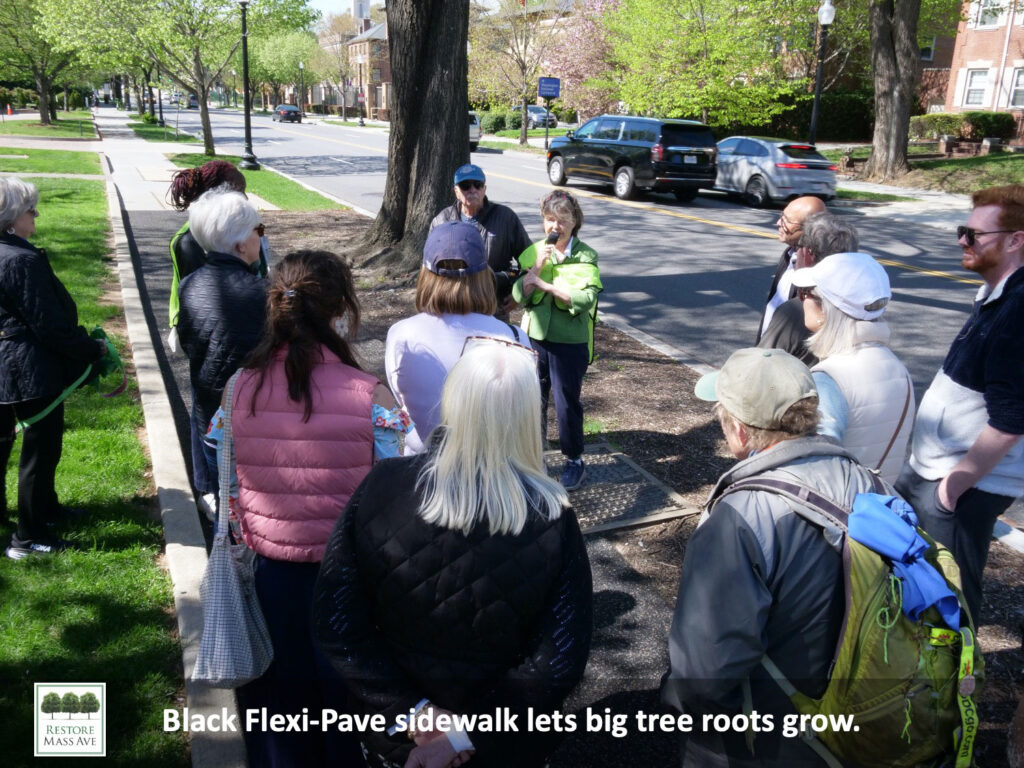 Slide2-tree-walk-2025-spring