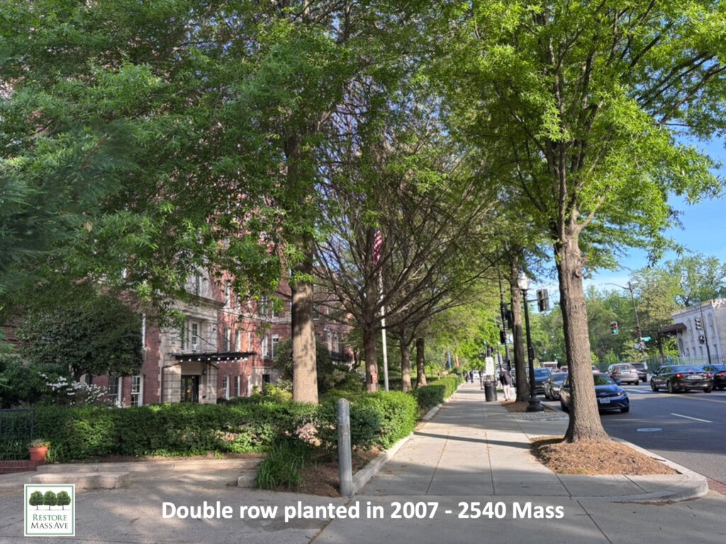 Slide4-tree-walk-2025-spring