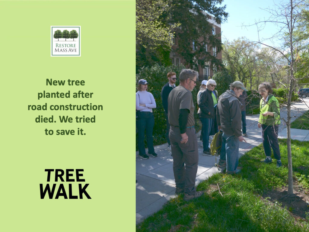 Slide5-tree-walk-2025-spring