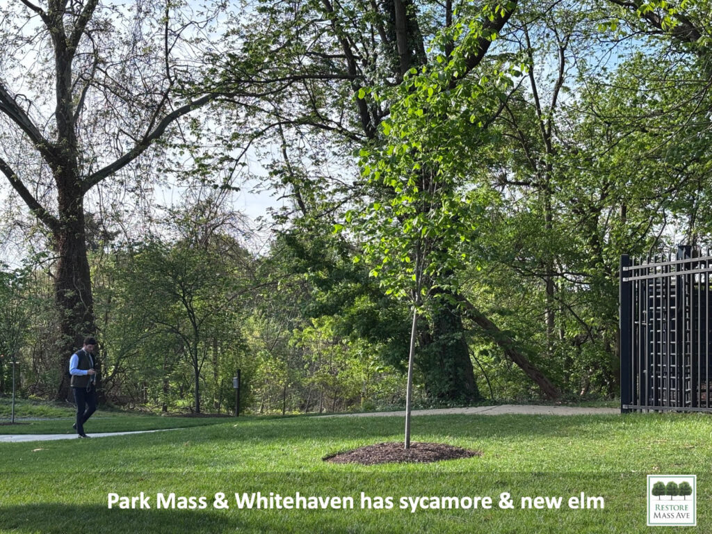 Slide7-tree-walk-2025-spring