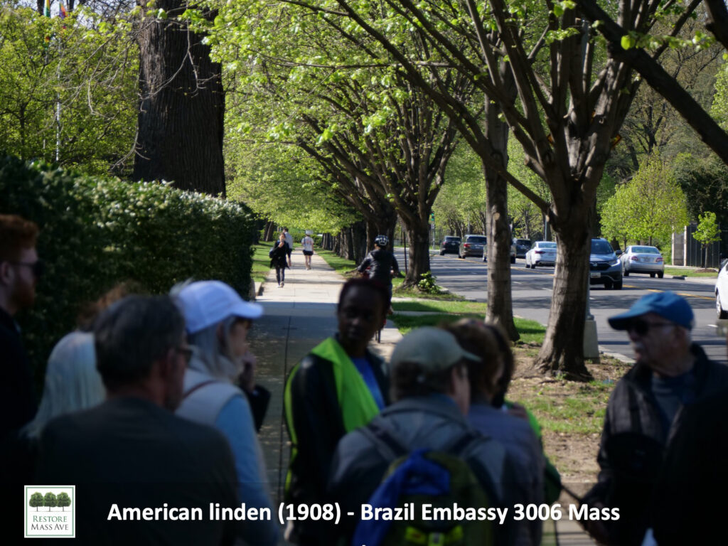 Slide9-tree-walk-2025-spring
