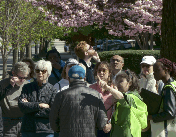 people looking at trees, woman in green vest points up