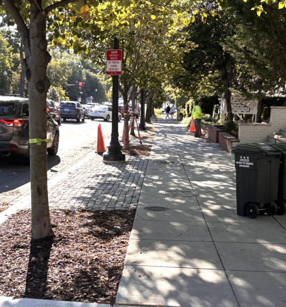 A neat line of trees shade a long sidewalk and separate it from the busy roadway.