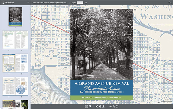 screenshot of digital book