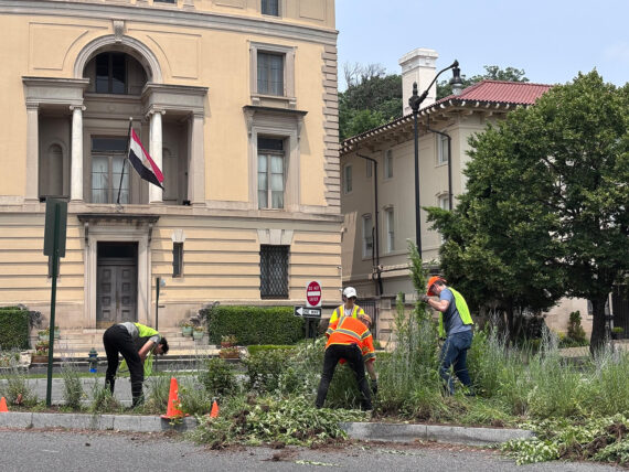 Adults in safety vests cut and rake plantings on a traffic island in front of stately historic building