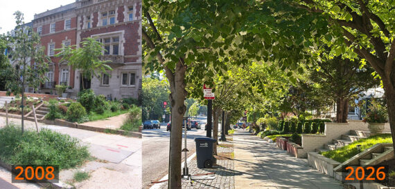 Two photos comparing the sidewalk on a section of Mass Ave in 2008, with a few young trees and little shade, and in 2026, with a pleasant double row of trees providing much shade.