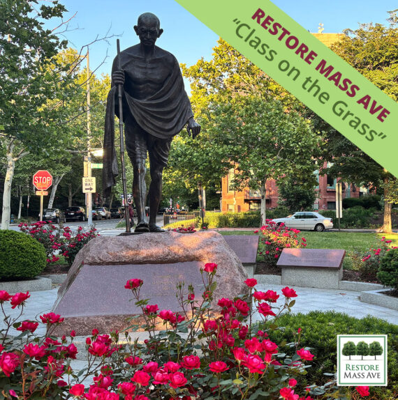 Statue of Gandhi with beautiful red roses in the foreground and green shade trees behind