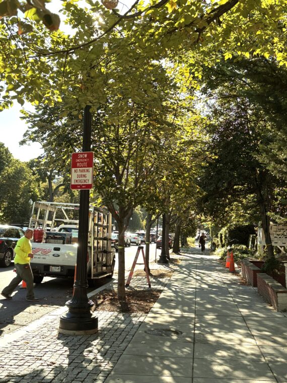 A current photo, taken from perspective closely resembling the historical photo of Mass Ave in 1913, shows recently planted trees that need help